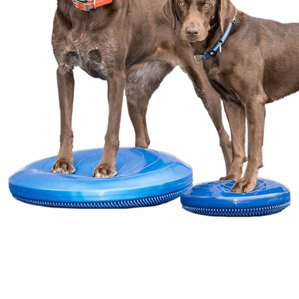 FitPAWS Disc de echilibru pentru animale de companie, albastru, 36 cm