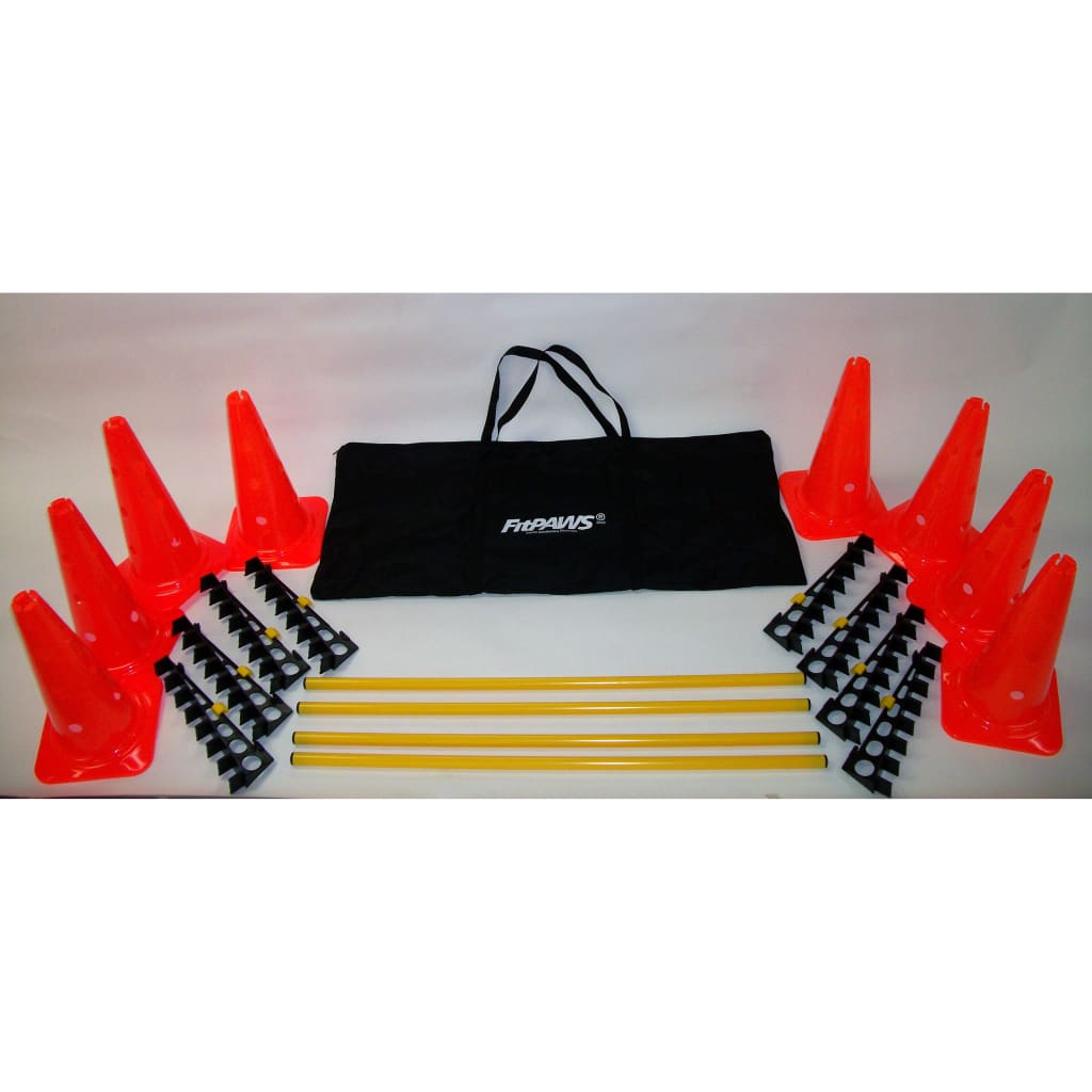 FitPAWS Set de obstacole