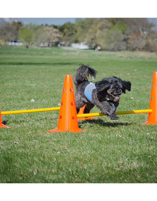 Încărcați imaginea în vizualizatorul Galerie, FitPAWS Set de obstacole
