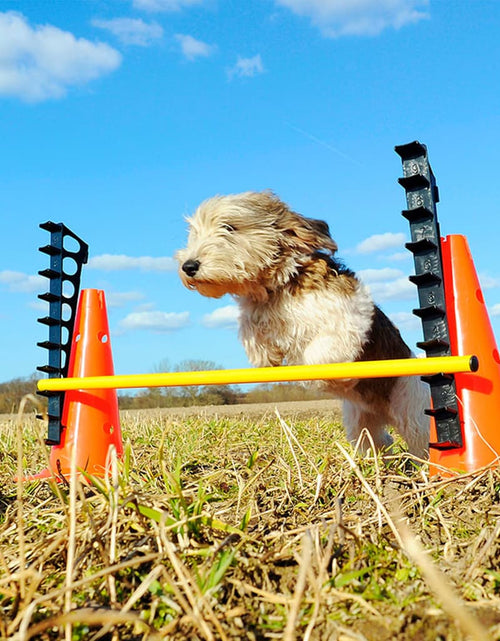 Încărcați imaginea în vizualizatorul Galerie, FitPAWS Set de obstacole
