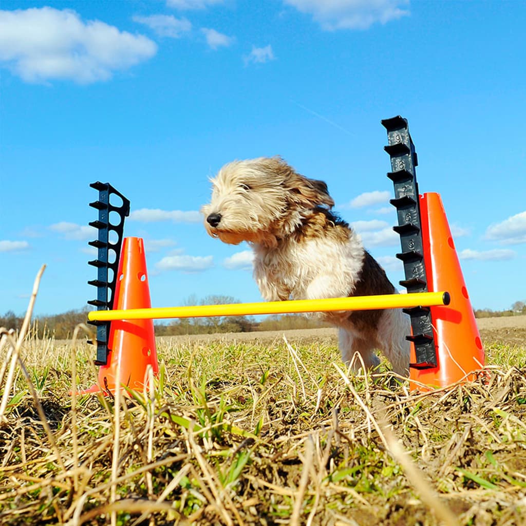 FitPAWS Set de obstacole