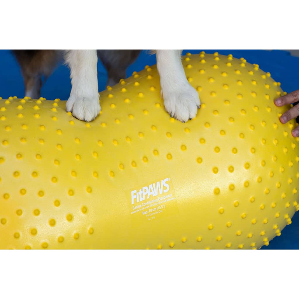 FitPAWS Platformă echilibru animale companie Trax Peanut galben 40cm