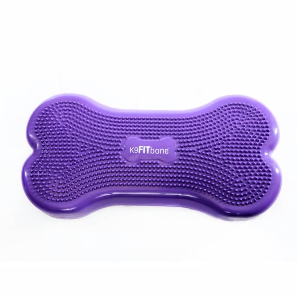 FitPAWS Platformă echilibru animale Giant K9FITbone, violet, PVC