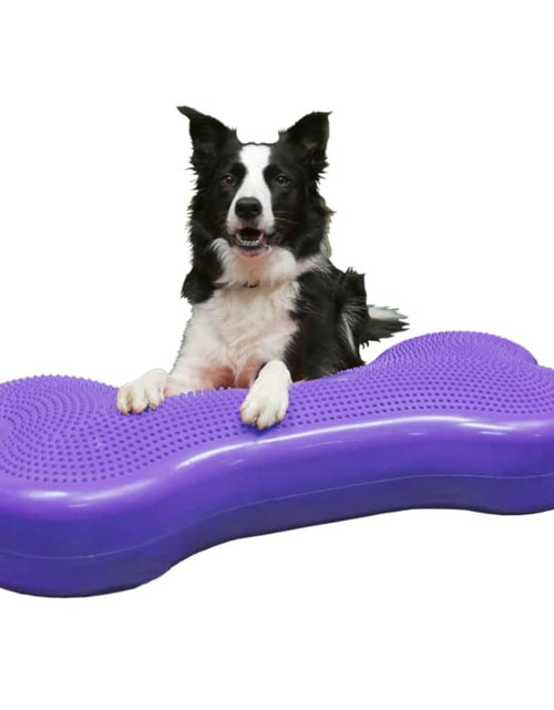 Încărcați imaginea în vizualizatorul Galerie, FitPAWS Platformă echilibru animale Giant K9FITbone, violet, PVC
