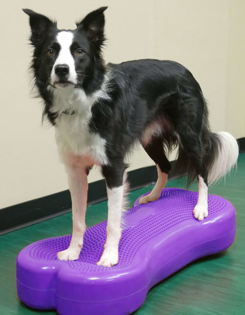 Încărcați imaginea în vizualizatorul Galerie, FitPAWS Platformă echilibru animale Giant K9FITbone, violet, PVC
