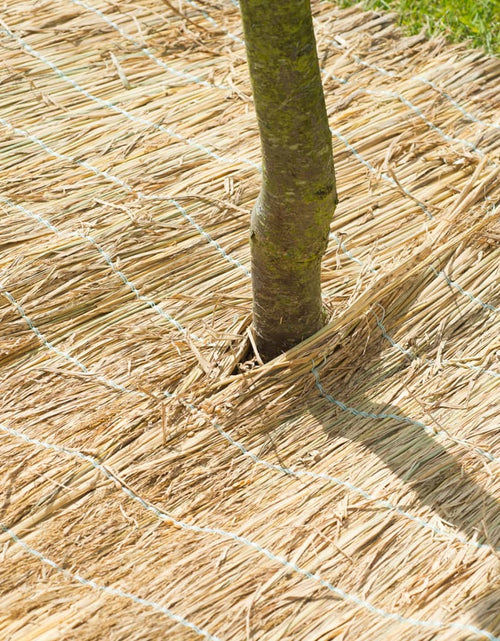 Încărcați imaginea în vizualizatorul Galerie, Nature Foaie de protecție pentru iarnă, paie de orez, 1x1,5 m 6030105
