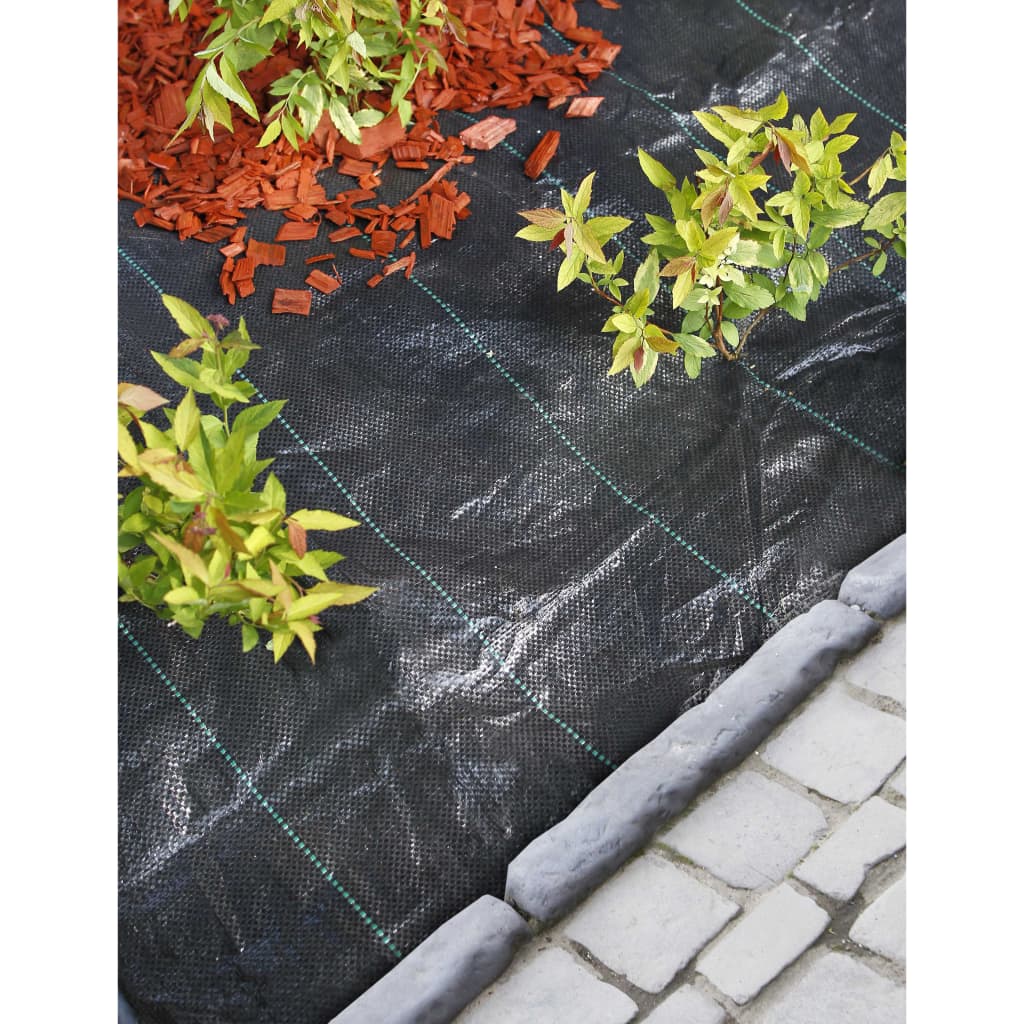 Nature Folie antiburuieni pentru sol, negru, 2x10 m