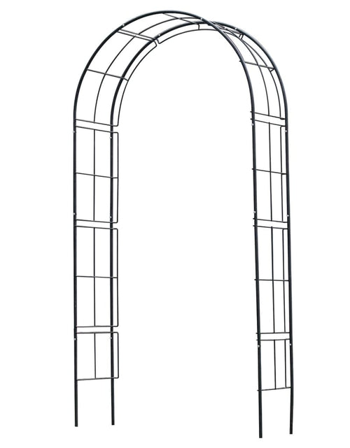 Загрузите изображение в средство просмотра галереи, Nature Arcadă de grădină, negru, 229 x 38 x 113 cm, metal
