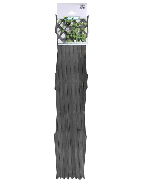 Încărcați imaginea în vizualizatorul Galerie, Nature Spalier de grădină, antracit, 50x150 cm, lemn - Lando
