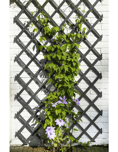 Încărcați imaginea în vizualizatorul Galerie, Nature Spalier de grădină, antracit, 50x150 cm, lemn - Lando
