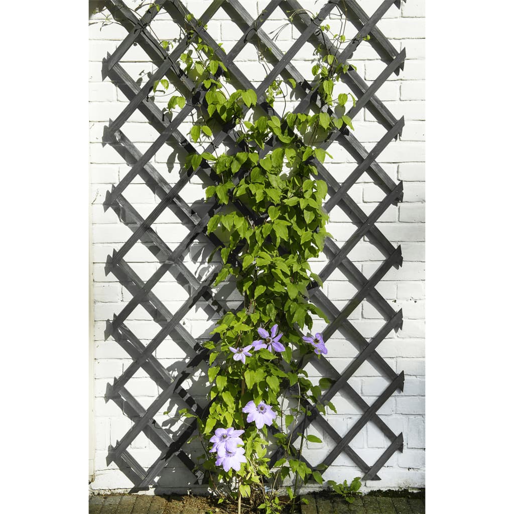 Nature Spalier de grădină, antracit, 50x150 cm, lemn - Lando