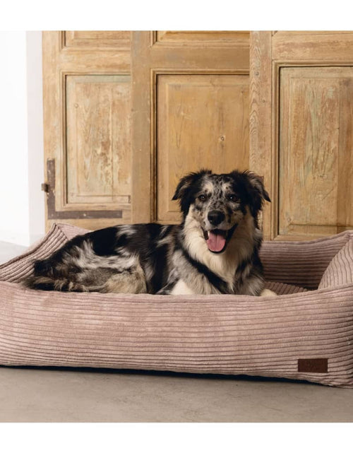 Загрузите изображение в средство просмотра галереи, Designed by Lotte Coș pentru câini cu striații, roz, 65x60x20 cm - Lando
