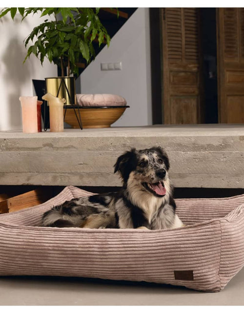 Загрузите изображение в средство просмотра галереи, Designed by Lotte Coș pentru câini cu striații, roz, 65x60x20 cm - Lando
