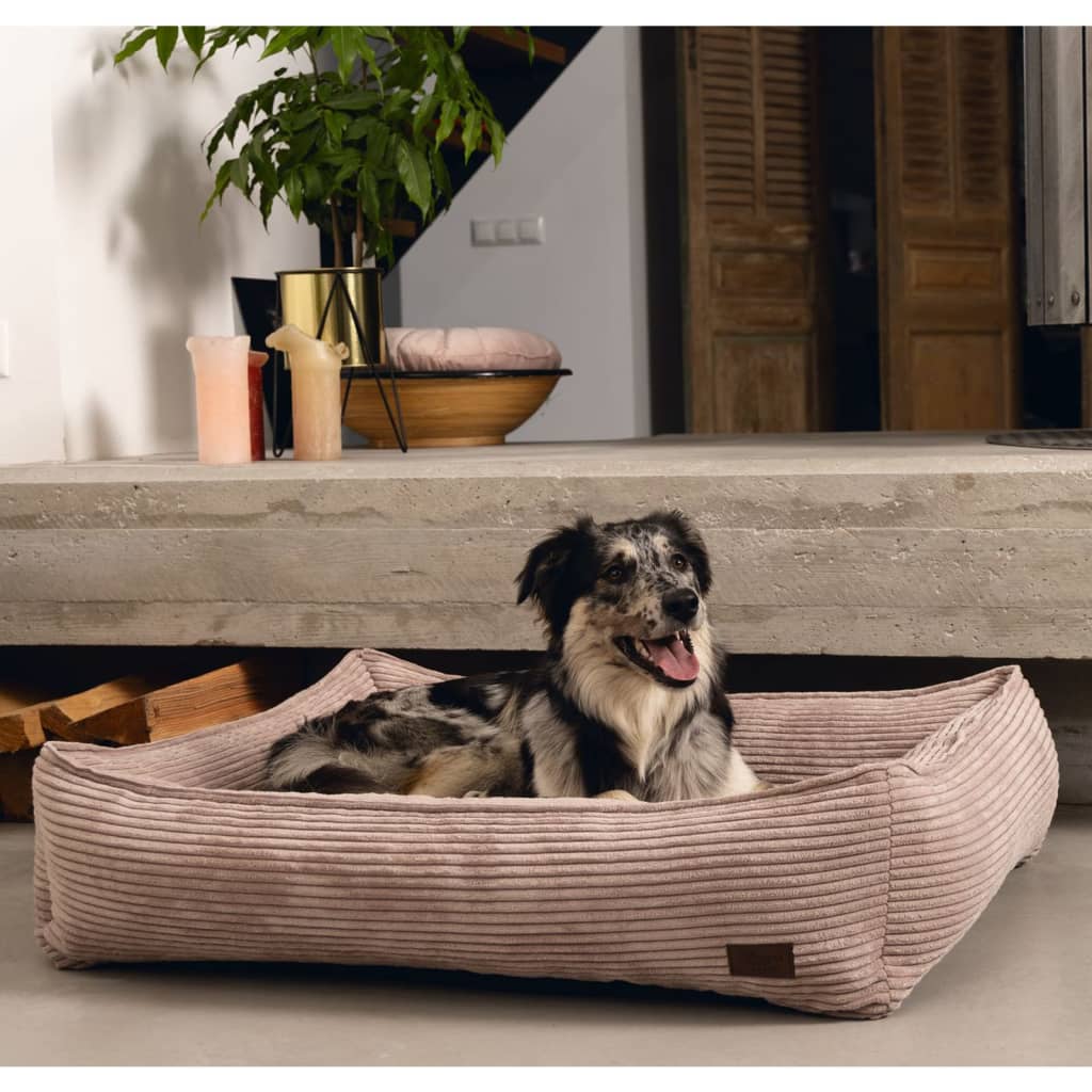 Designed by Lotte Coș pentru câini cu striații, roz, 65x60x20 cm - Lando