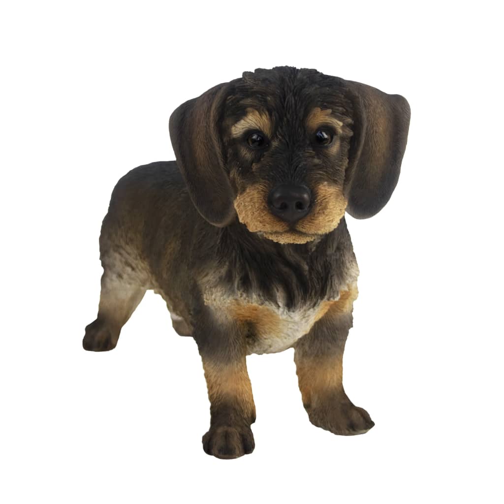 Esschert Design Statuetă câine Wirehaired Dachshund, 50x15x27,8 cm