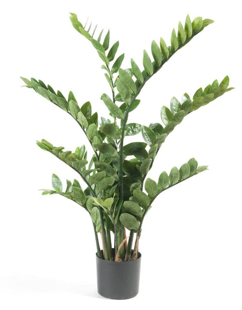 Încărcați imaginea în vizualizatorul Galerie, Emerald Plantă artificială Zamioculcas, verde, 110 cm, 11.662C - Lando
