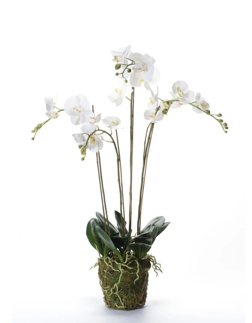 Загрузите изображение в средство просмотра галереи, Emerald Orhidee artificială Phalaenopsis cu mușchi, alb, 90 cm 20.355

