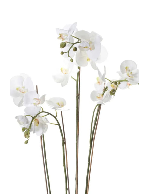 Încărcați imaginea în vizualizatorul Galerie, Emerald Orhidee artificială Phalaenopsis cu mușchi, alb, 90 cm 20.355
