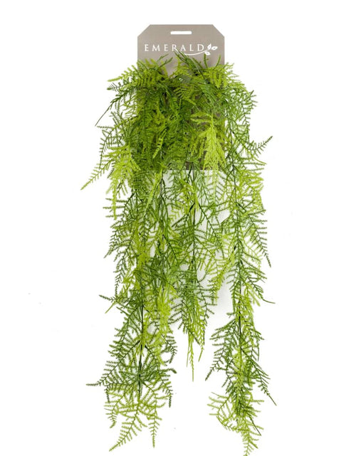 Încărcați imaginea în vizualizatorul Galerie, Emerald Asparagus Plumosus artificial, 80 cm
