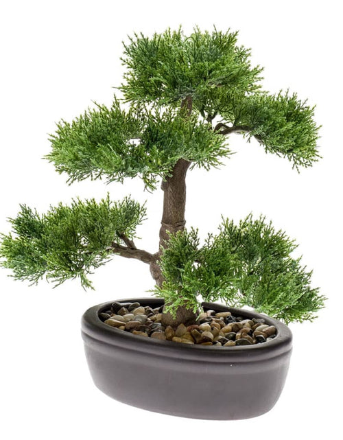 Загрузите изображение в средство просмотра галереи, Emerald Cedru artificial bonsai, verde, 32 cm 420001
