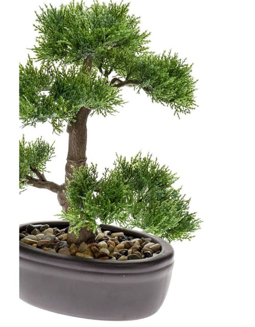 Загрузите изображение в средство просмотра галереи, Emerald Cedru artificial bonsai, verde, 32 cm 420001
