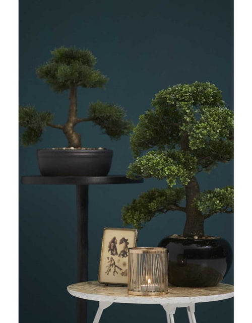 Încărcați imaginea în vizualizatorul Galerie, Emerald Cedru artificial bonsai, verde, 32 cm 420001
