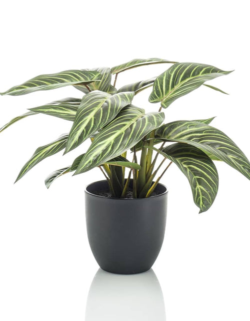 Загрузите изображение в средство просмотра галереи, Emerald Plantă artificială Calathea &quot;Zebrina&quot;, 38 cm, în ghiveci
