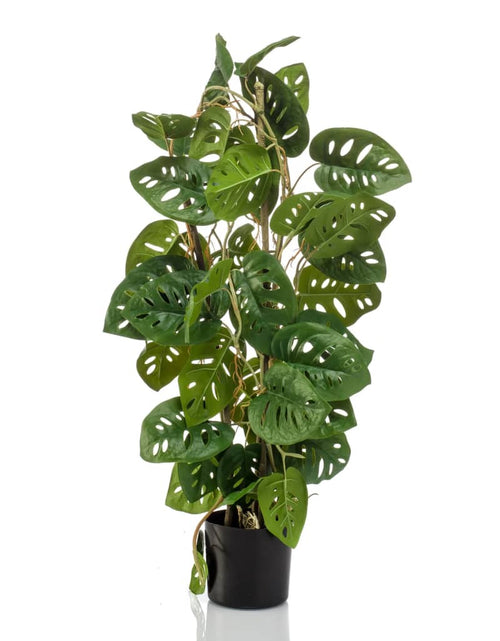 Încărcați imaginea în vizualizatorul Galerie, Emerald Plantă artificială Monstera &quot;Monkey&quot;, 75 cm, în ghiveci
