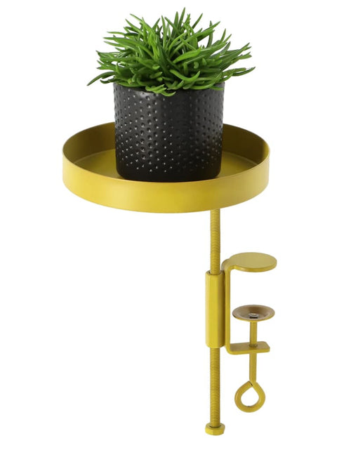 Încărcați imaginea în vizualizatorul Galerie, Esschert Design Tavă pentru plante cu clemă, auriu, rotund, S

