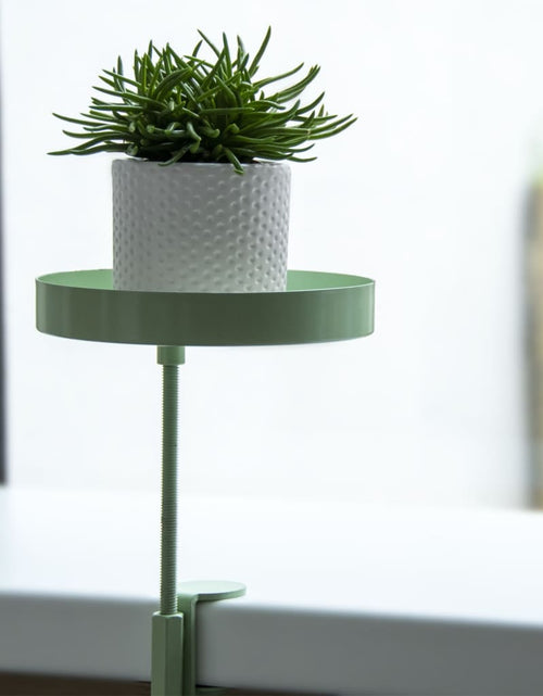 Загрузите изображение в средство просмотра галереи, Esschert Design Tavă pentru plante cu clemă, verde, rotund, S
