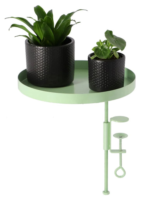 Загрузите изображение в средство просмотра галереи, Esschert Design Tavă pentru plante cu clemă, verde, rotund, L
