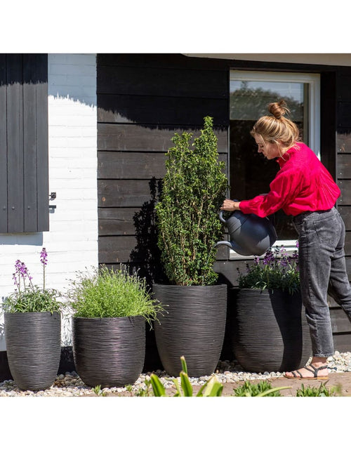 Загрузите изображение в средство просмотра галереи, Capi Jardinieră în formă de ou Nature Rib, negru, 35x34 cm, KBLR932
