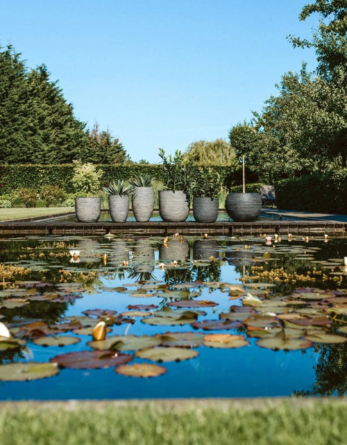 Загрузите изображение в средство просмотра галереи, Capi Jardinieră în formă de ou Nature Rib, antracit, 35x34 cm, KOFZ932
