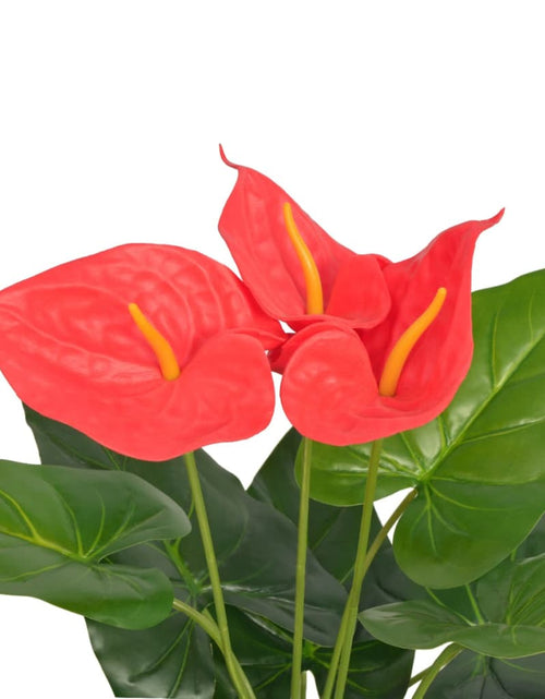 Încărcați imaginea în vizualizatorul Galerie, Plantă artificială Anthurium cu ghiveci, 45 cm, roșu și galben - Lando
