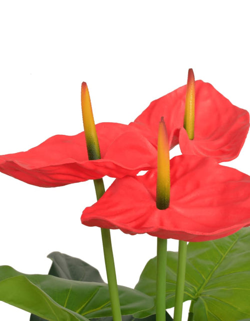 Încărcați imaginea în vizualizatorul Galerie, Plantă artificială Anthurium cu ghiveci, 90 cm, roșu și galben
