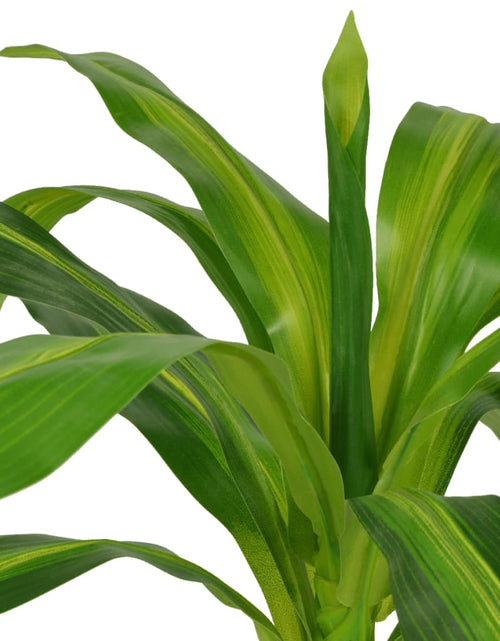 Загрузите изображение в средство просмотра галереи, Plantă Dracena artificială cu ghiveci, 100 cm, verde - Lando
