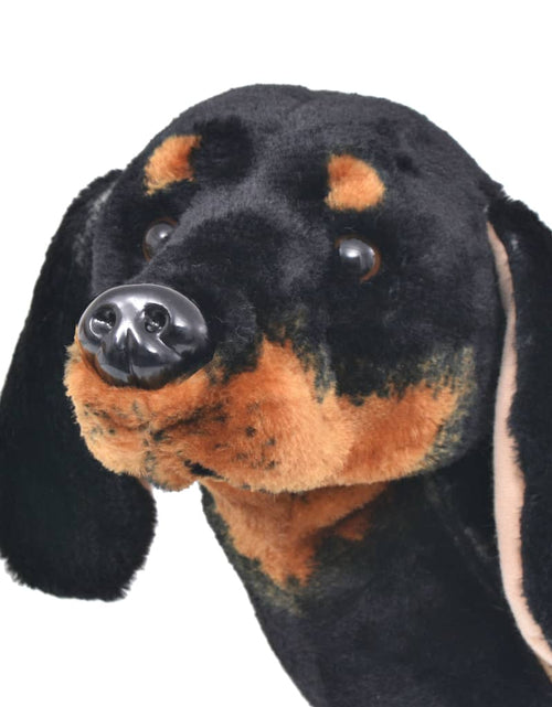Загрузите изображение в средство просмотра галереи, Câine din pluș de jucărie teckel, negru, XXL
