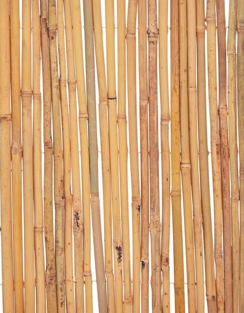 Încărcați imaginea în vizualizatorul Galerie, Gard din bambus, 500 x 30 cm
