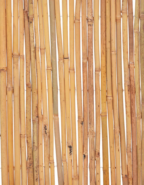 Загрузите изображение в средство просмотра галереи, Gard din bambus, 500 x 50 cm
