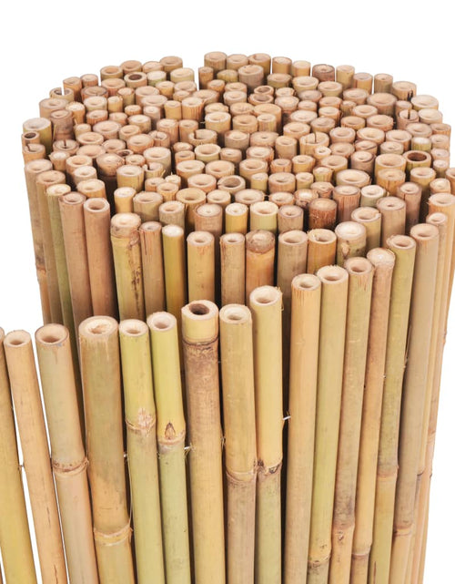 Încărcați imaginea în vizualizatorul Galerie, Gard din bambus, 300 x 100 cm
