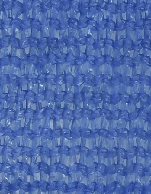 Загрузите изображение в средство просмотра галереи, Pânză parasolar, albastru, 2x2,5 m, HDPE, 160 g/m²
