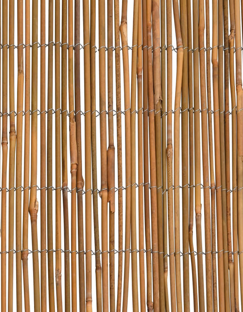 Încărcați imaginea în vizualizatorul Galerie, Gard de bambus, 500x100 cm

