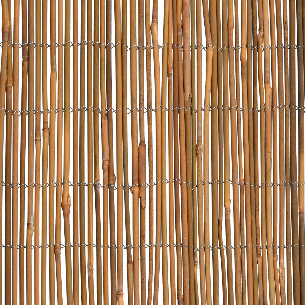 Gard de bambus, 500x100 cm