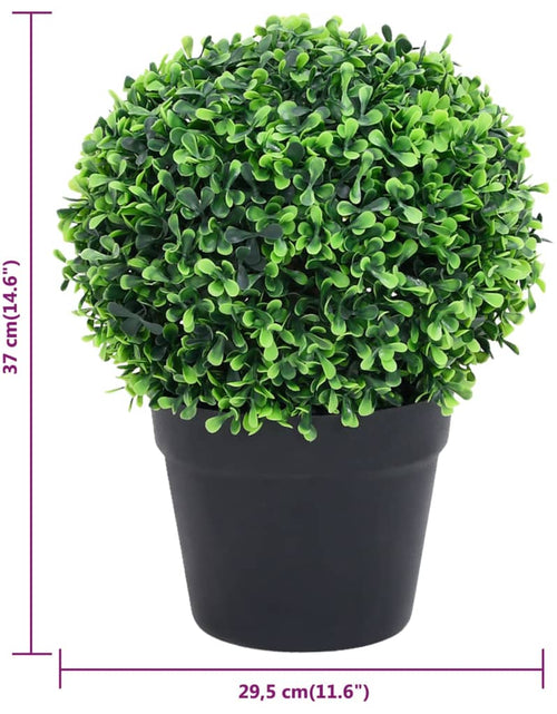 Încărcați imaginea în vizualizatorul Galerie, Plante artificiale cimișir cu ghiveci, 2 buc. verde 37 cm minge
