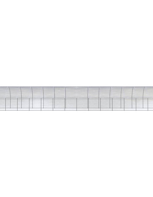 Загрузите изображение в средство просмотра галереи, Coteț de găini pentru exterior, 3x16x2 m, oțel zincat
