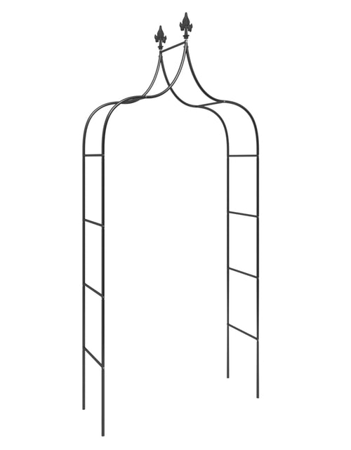 Загрузите изображение в средство просмотра галереи, Arcade de grădină, 2 buc, negru, 120x38x260 cm, oțel - Lando
