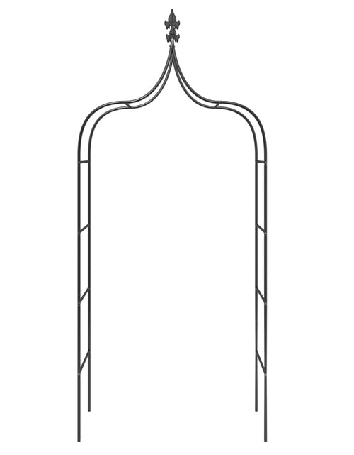 Загрузите изображение в средство просмотра галереи, Arcade de grădină, 2 buc, negru, 120x38x260 cm, oțel - Lando
