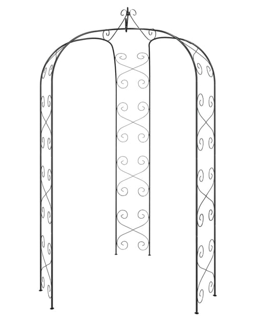 Încărcați imaginea în vizualizatorul Galerie, Arcadă de grădină, negru, Ø180x255 cm, oțel - Lando
