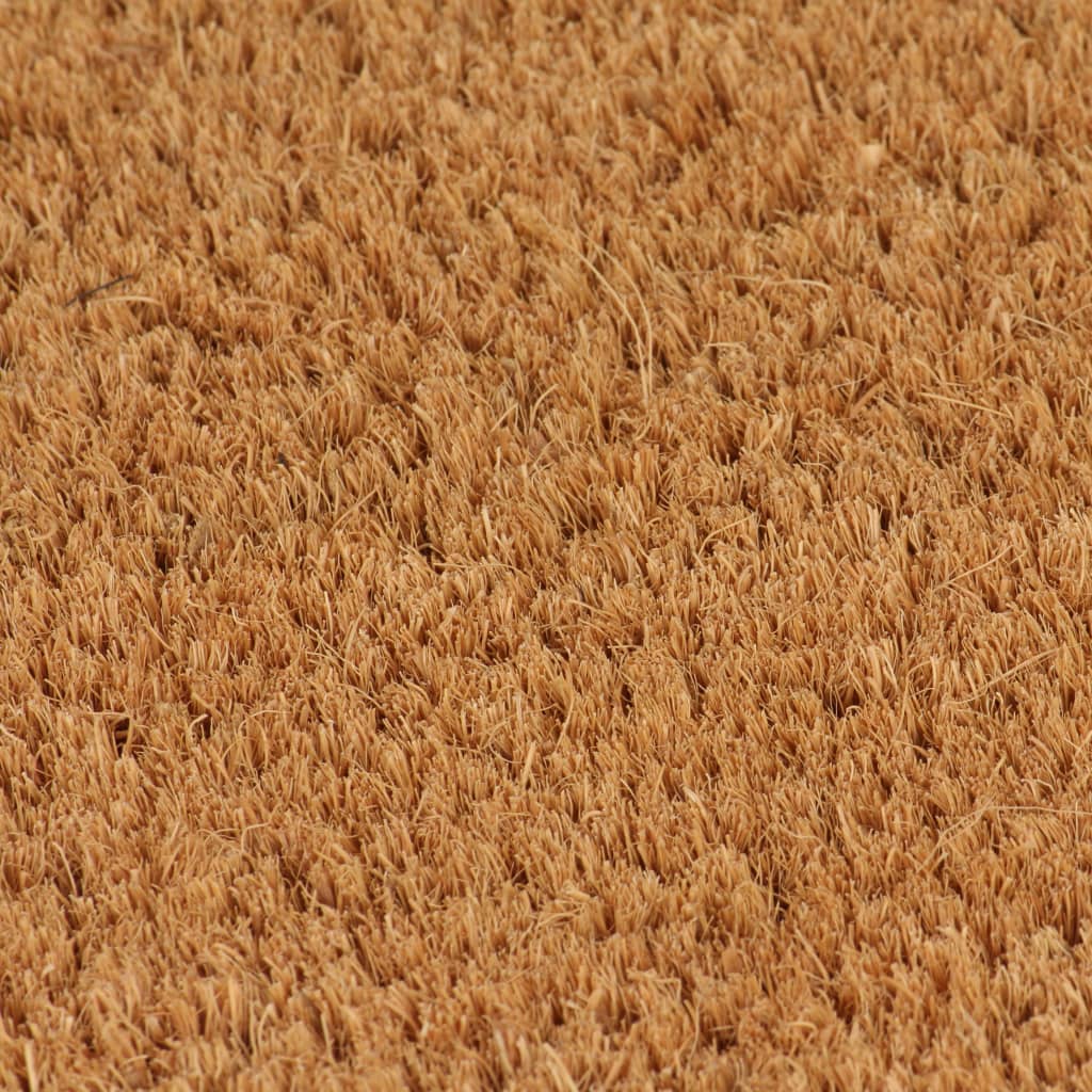 Covoraș de ușă, natural, 50x80 cm, fibre de cocos