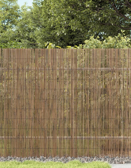 Загрузите изображение в средство просмотра галереи, Gard de grădină, 400x100 cm, stuf
